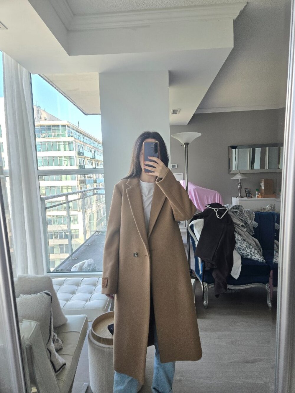 Aritzia Babaton Wool Stedman Coat